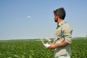 Man flying drone over a green field