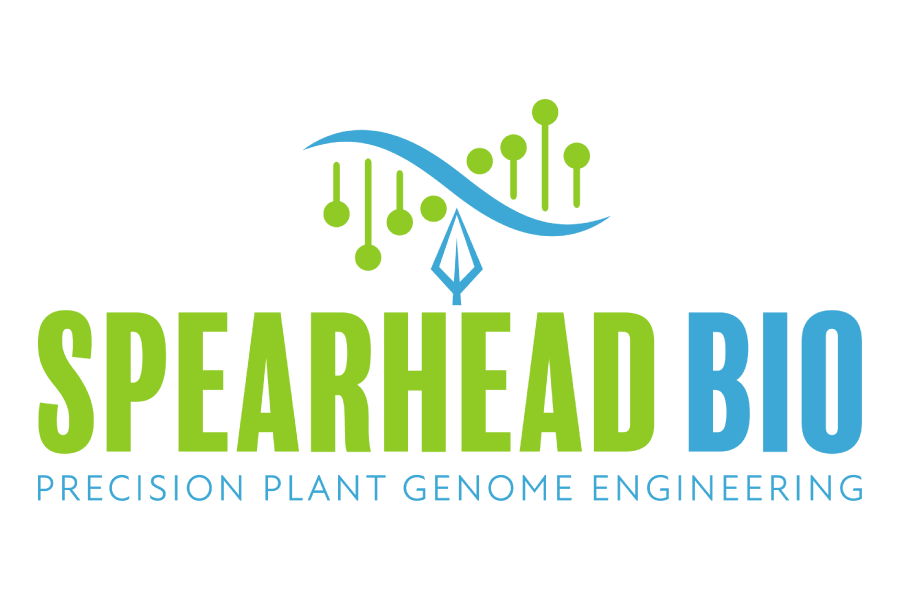 Careers at Spearhead Bio