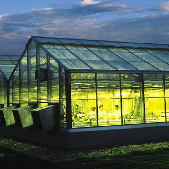 Greenhouse Exterior