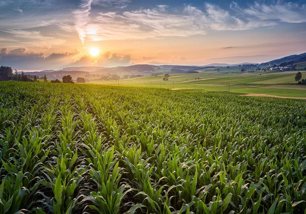 farm stock image